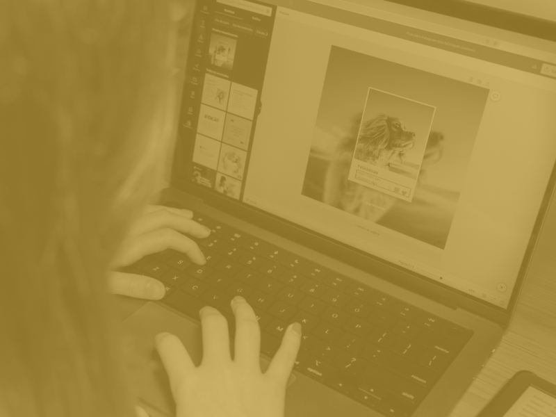 Canva & Graphic Design&nbsp;Basics